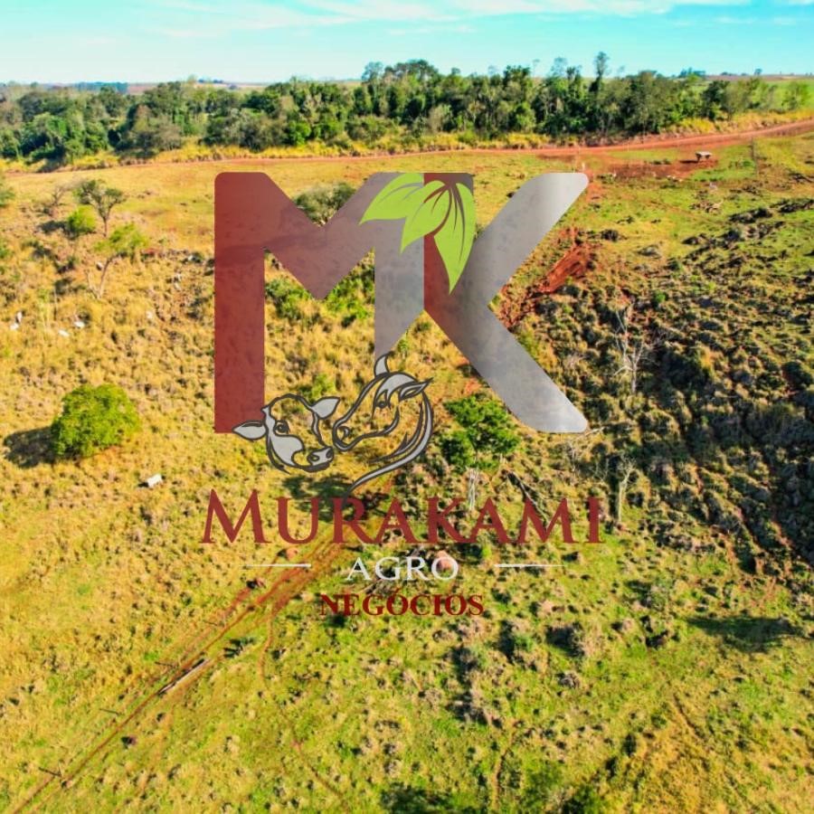 Fazenda à venda, 55m² - Foto 9