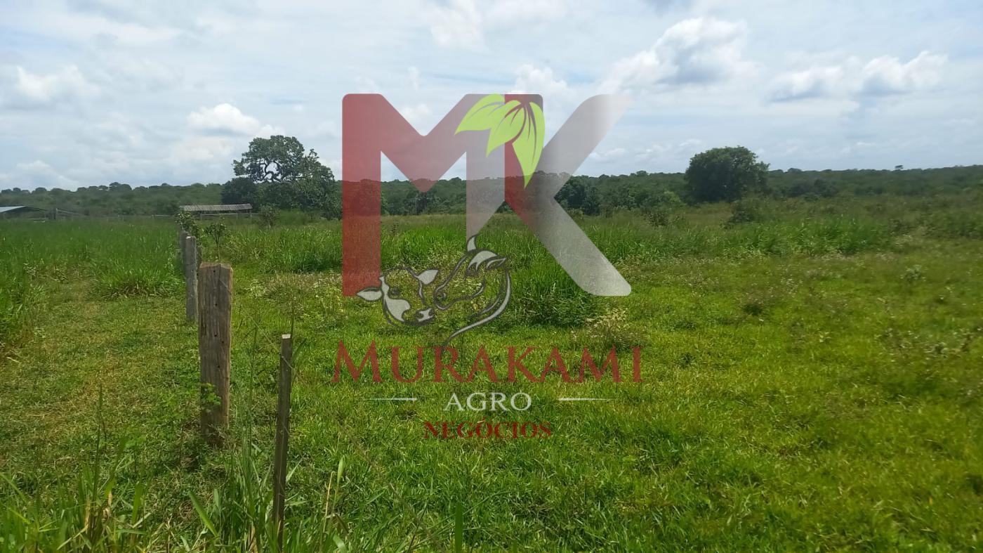 Fazenda à venda, 880m² - Foto 34