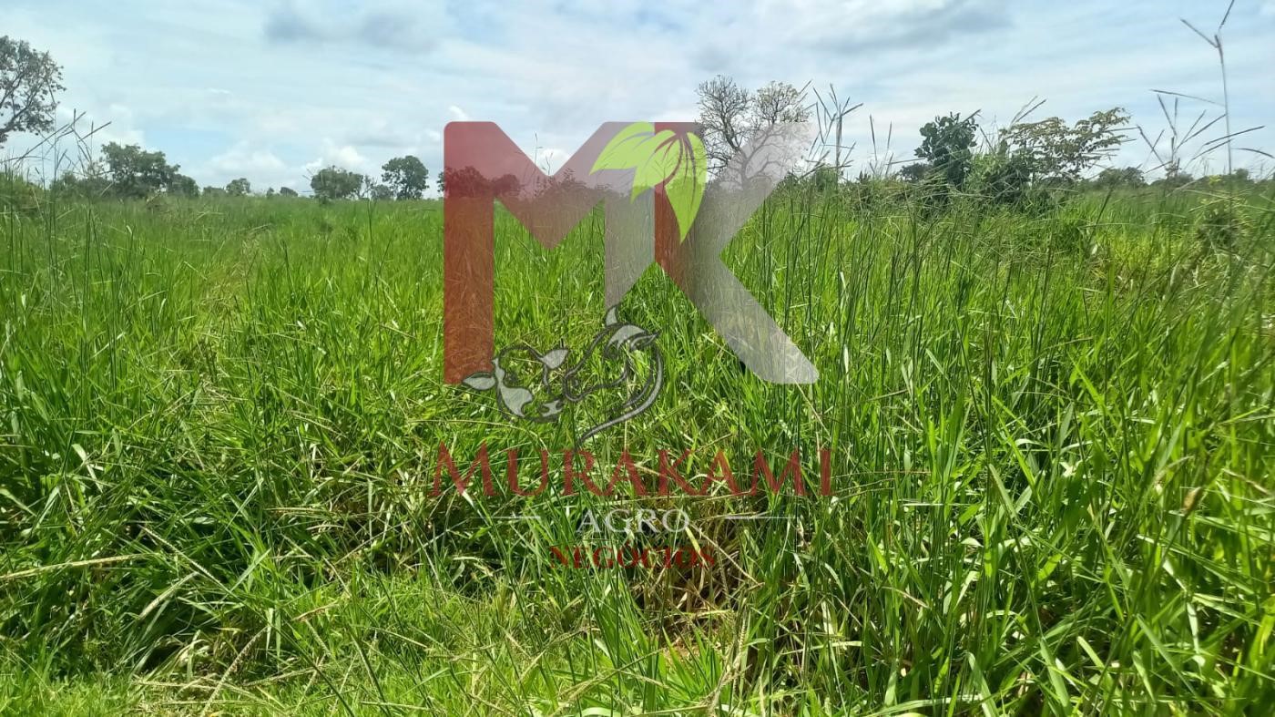 Fazenda à venda, 880m² - Foto 9
