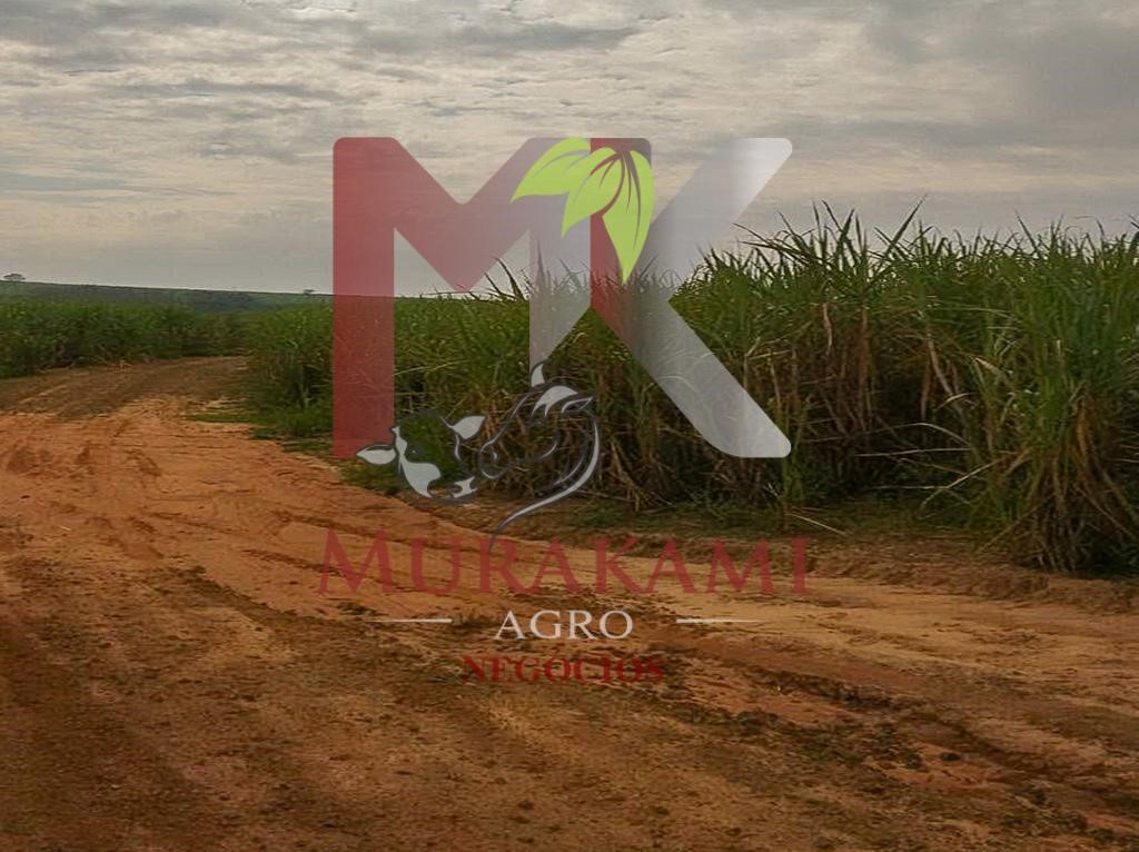 Fazenda à venda - Foto 4