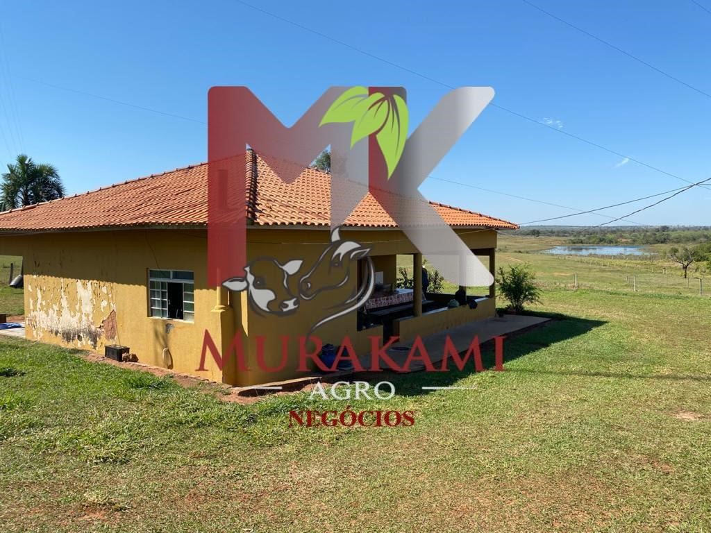 Fazenda à venda com 2 quartos, 3810m² - Foto 1