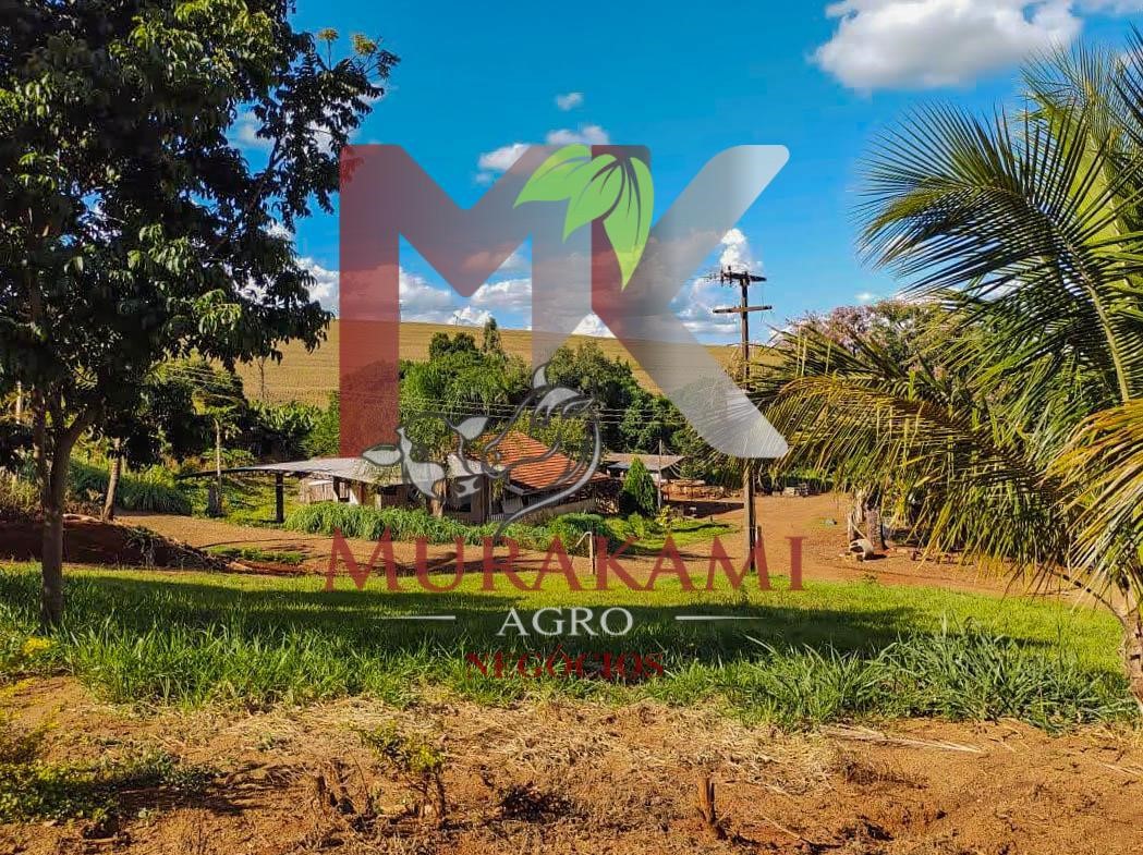 Fazenda à venda com 1 quarto, 100m² - Foto 1