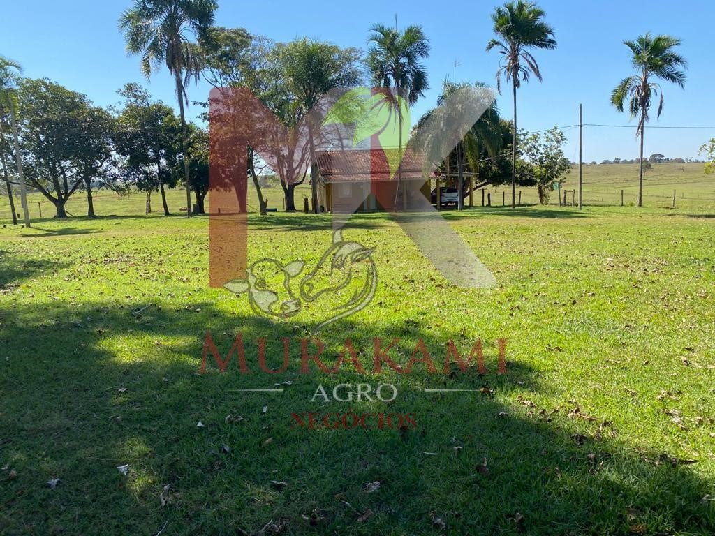 Fazenda à venda com 2 quartos, 3810m² - Foto 10