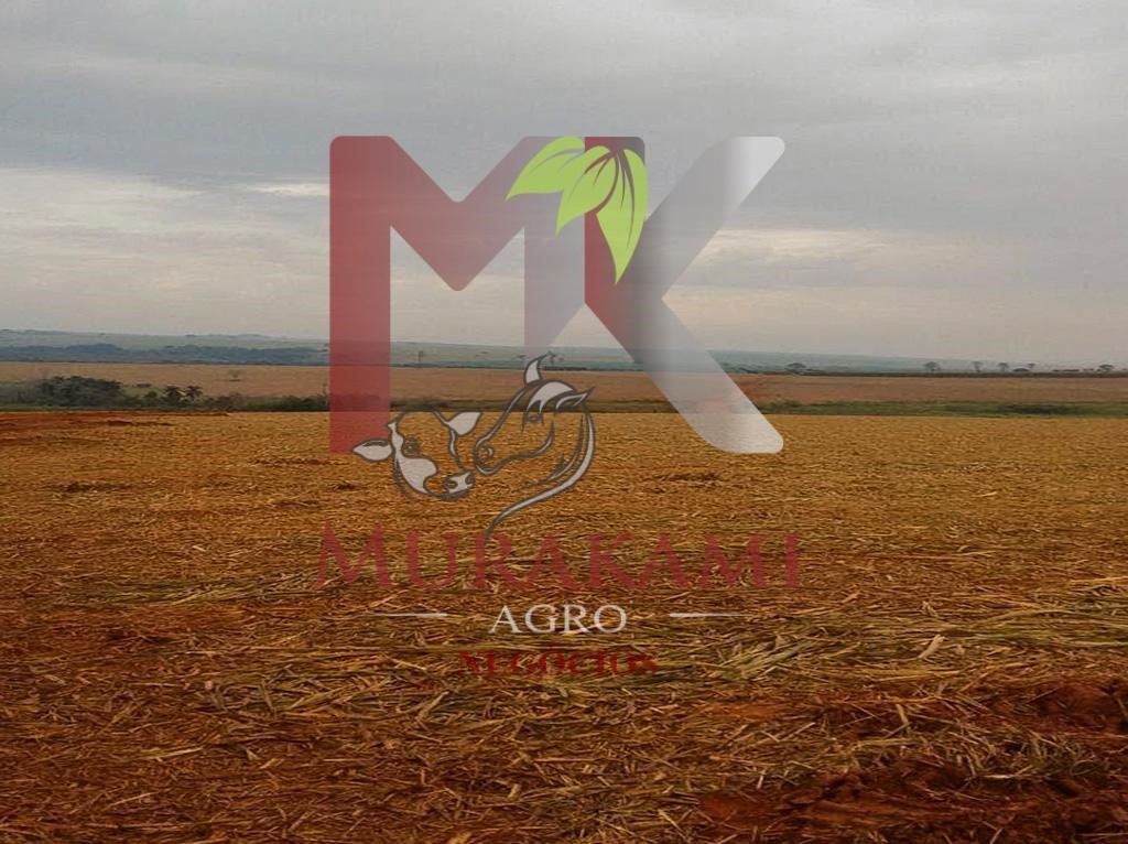 Fazenda à venda - Foto 7