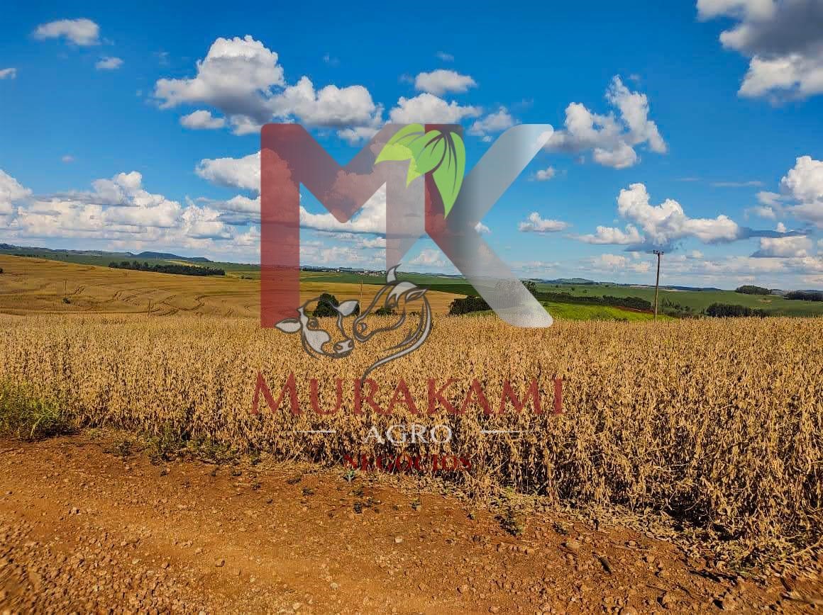 Fazenda à venda com 1 quarto, 100m² - Foto 4