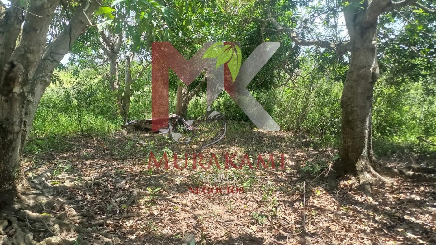 Fazenda à venda, 880m² - Foto 21