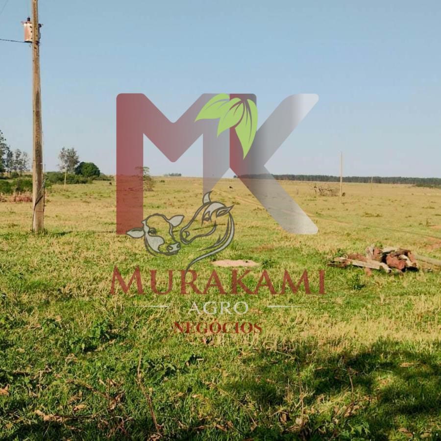 Fazenda à venda, 100m² - Foto 12