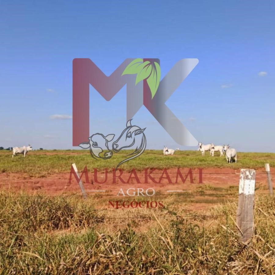 Fazenda à venda, 250m² - Foto 6
