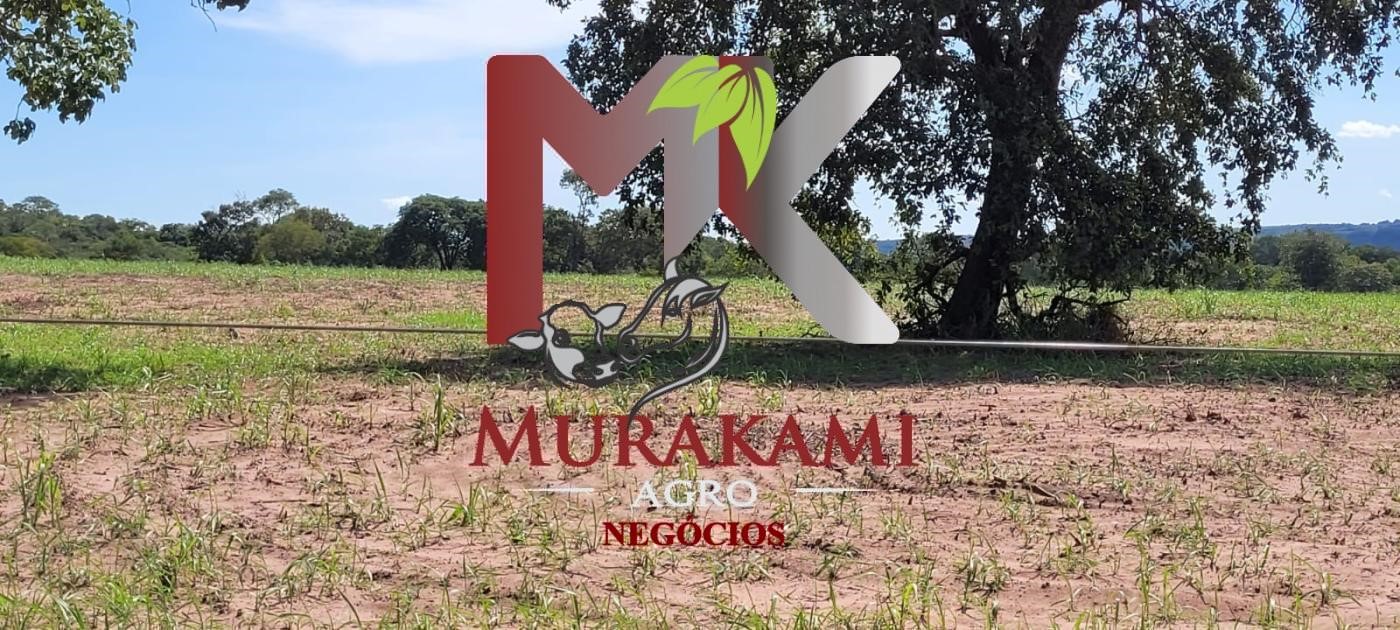 Fazenda à venda com 5 quartos, 1490m² - Foto 16