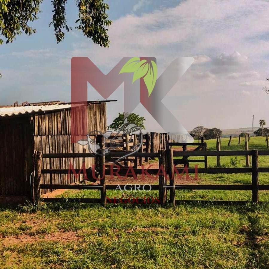 Fazenda à venda, 100m² - Foto 4