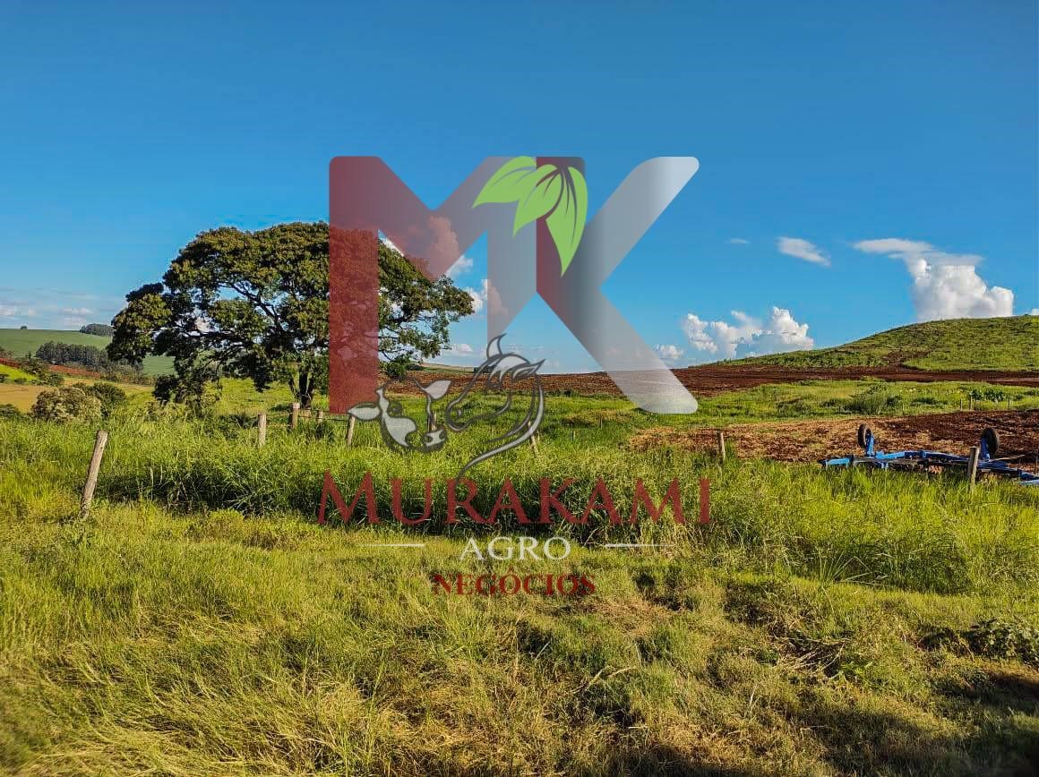 Fazenda à venda com 1 quarto, 100m² - Foto 3