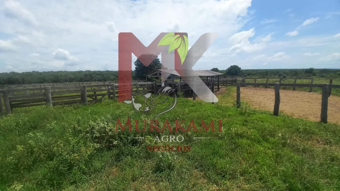 Fazenda à venda, 880m² - Foto 32