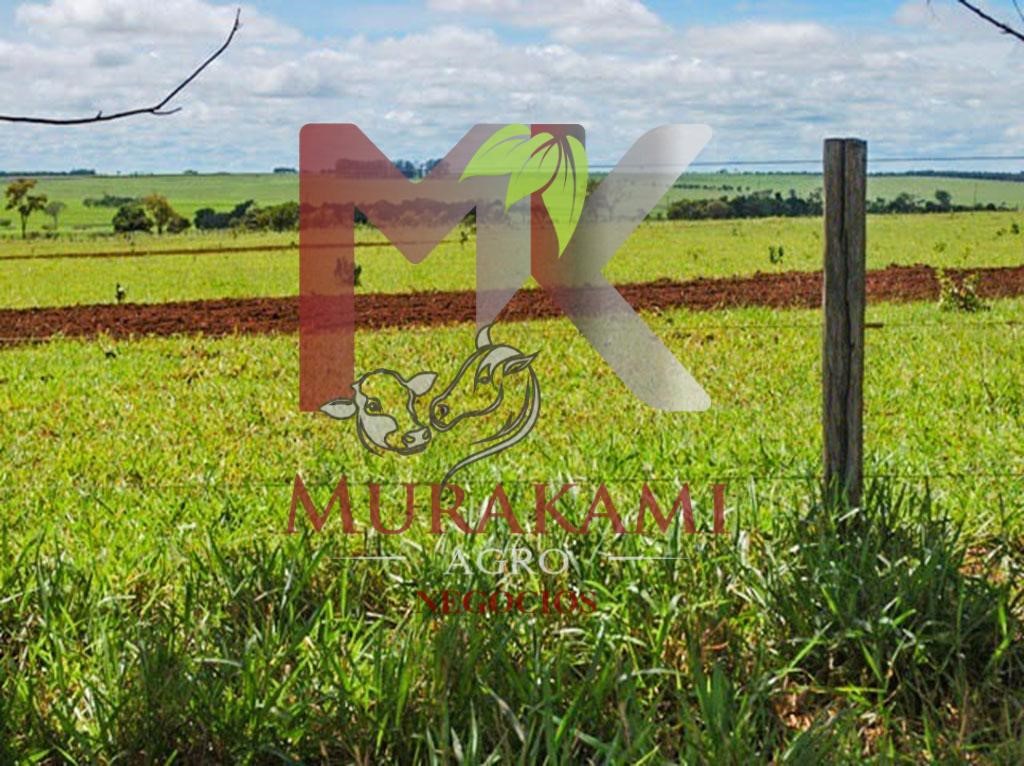 Fazenda à venda com 2 quartos - Foto 14