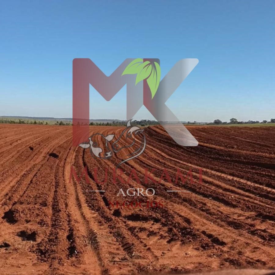 Fazenda à venda, 250m² - Foto 19