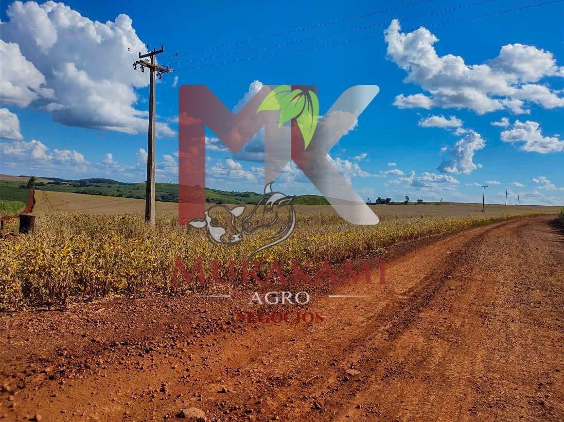 Fazenda à venda com 1 quarto, 100m² - Foto 7