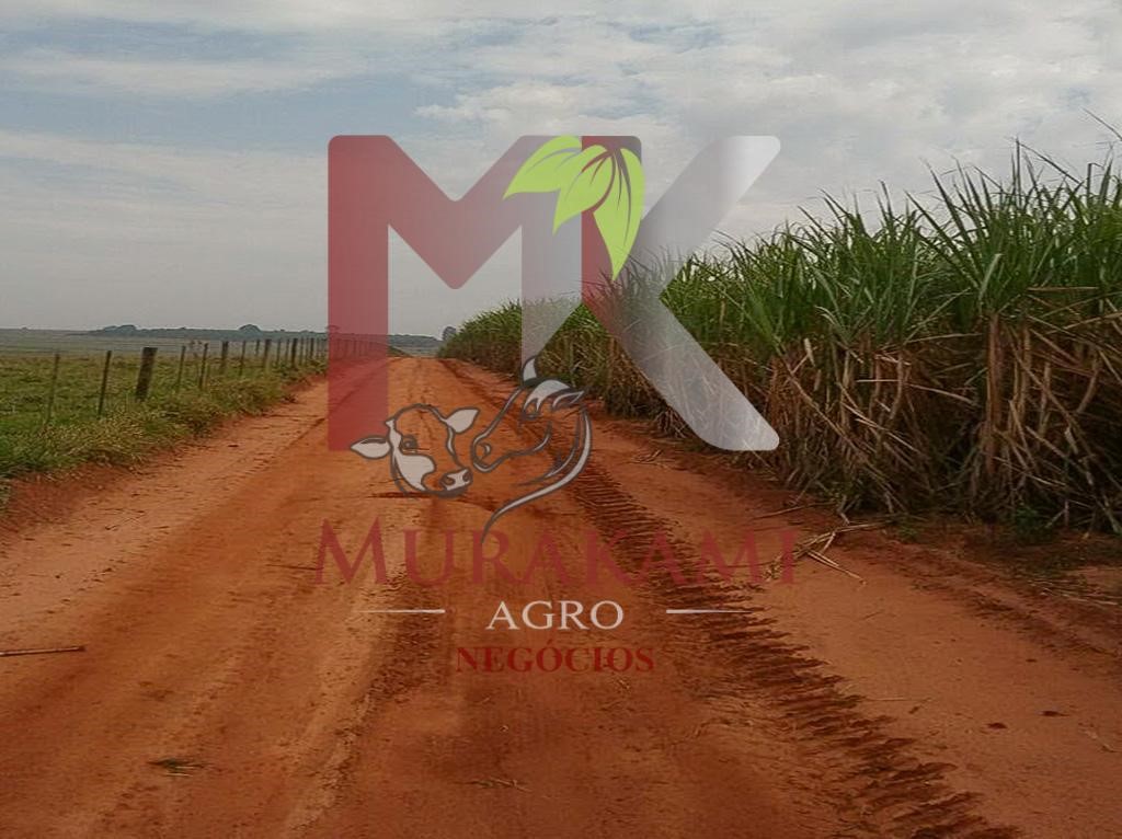 Fazenda à venda - Foto 9