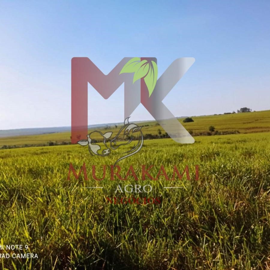 Fazenda à venda, 250m² - Foto 2