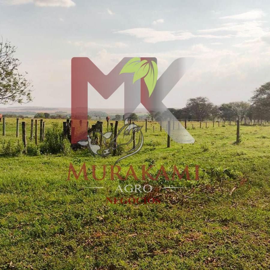 Fazenda à venda, 100m² - Foto 3