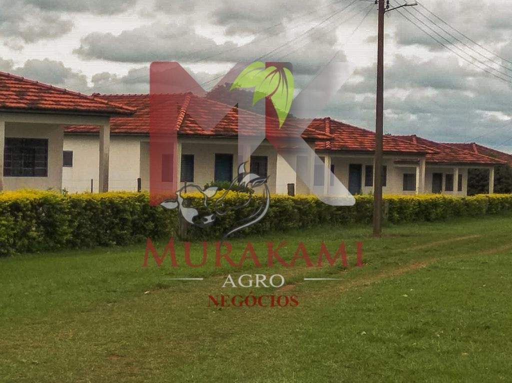 Fazenda à venda - Foto 6