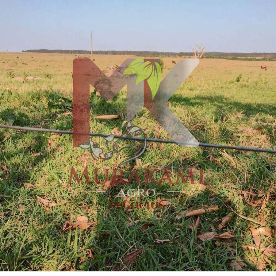 Fazenda à venda, 100m² - Foto 9