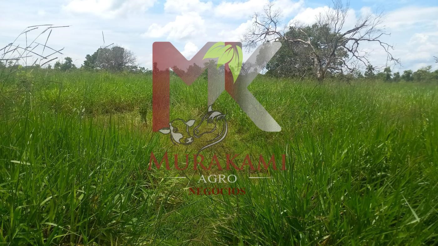 Fazenda à venda, 880m² - Foto 8