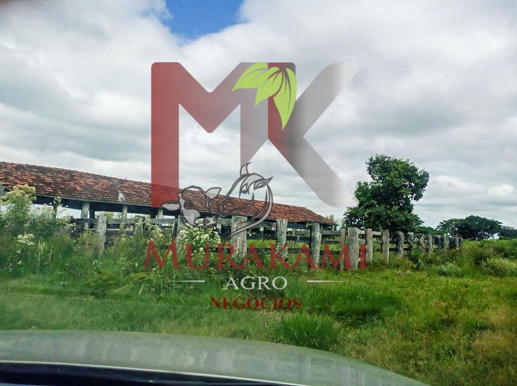 Fazenda à venda, 94m² - Foto 11
