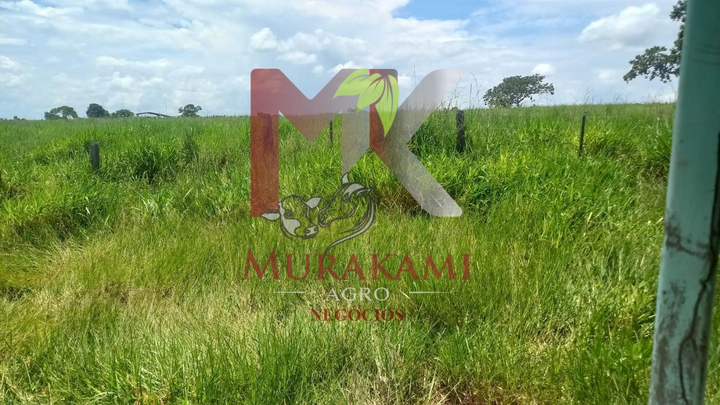 Fazenda à venda, 880m² - Foto 23