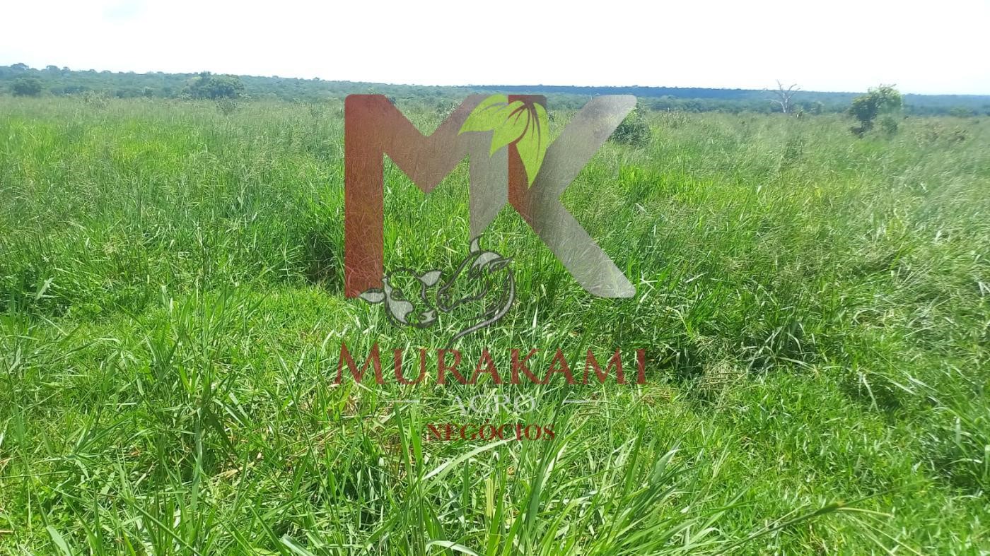 Fazenda à venda, 880m² - Foto 37