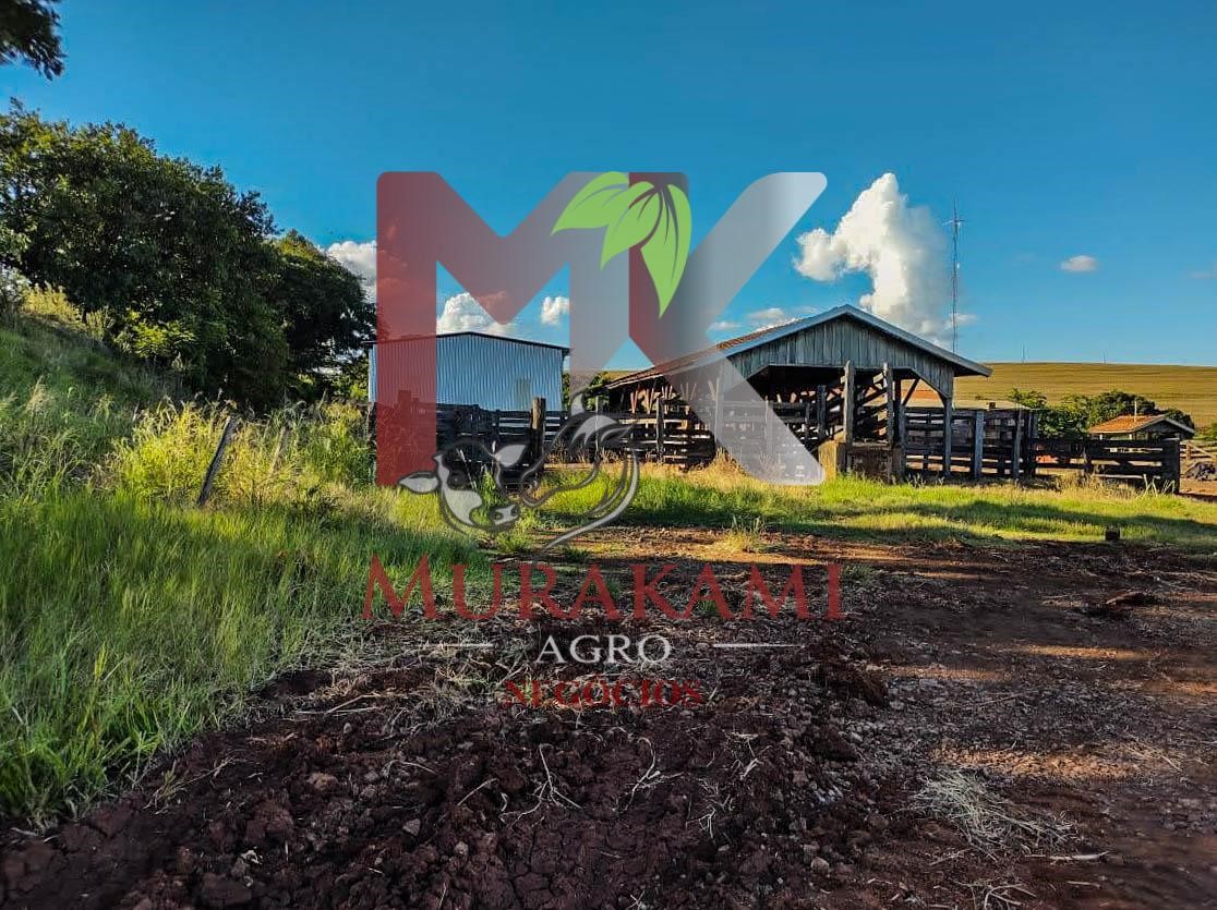 Fazenda à venda com 1 quarto, 100m² - Foto 9