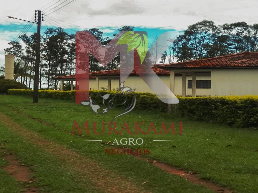 Fazenda à venda - Foto 10