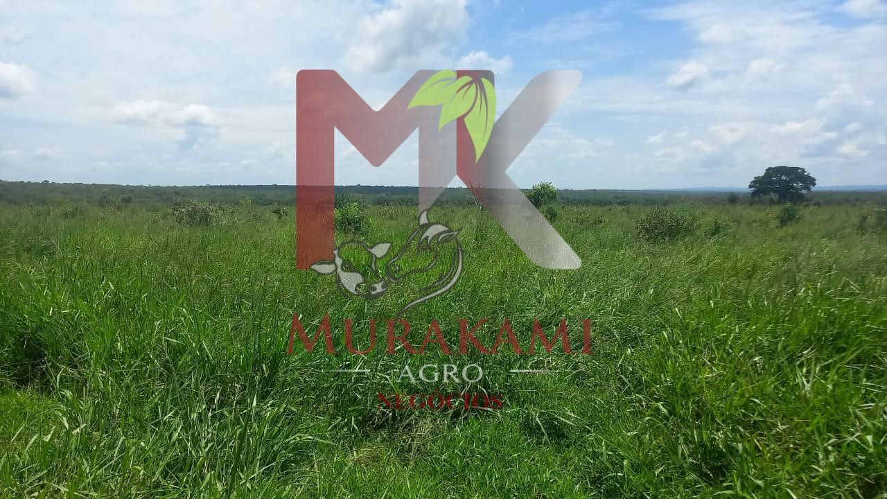 Fazenda à venda, 880m² - Foto 40