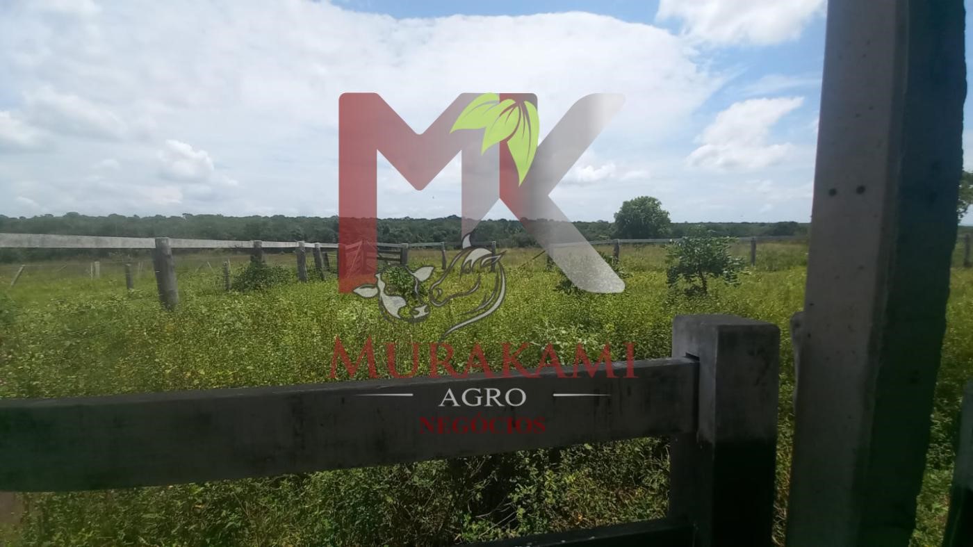 Fazenda à venda, 880m² - Foto 26