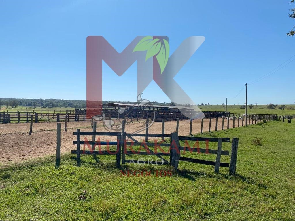Fazenda à venda com 2 quartos, 3810m² - Foto 2
