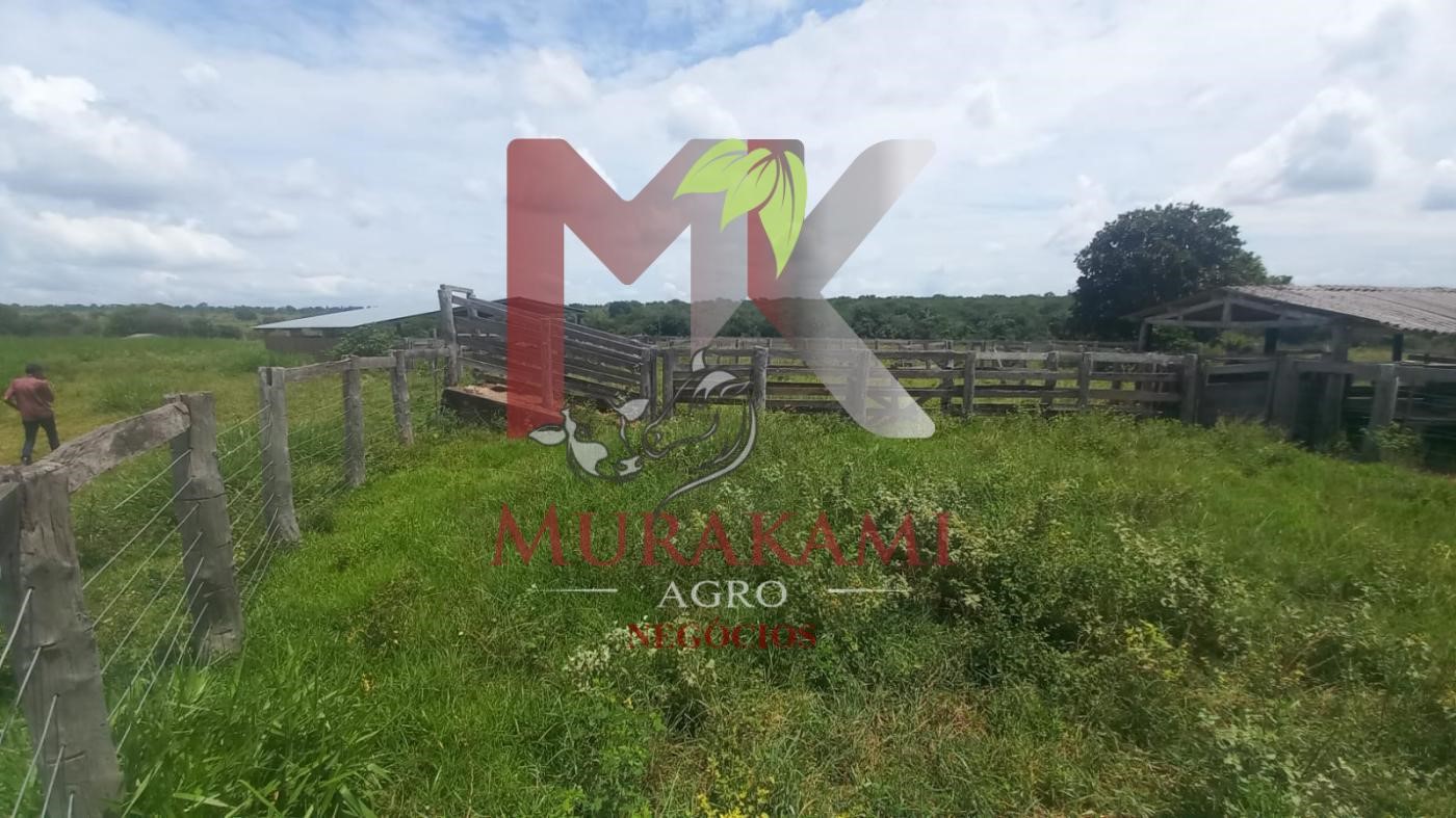 Fazenda à venda, 880m² - Foto 33