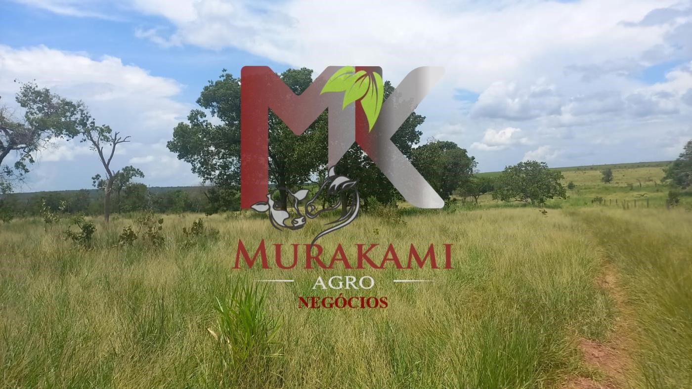 Fazenda à venda, 880m² - Foto 48