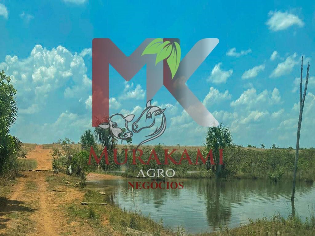 Fazenda à venda, 8800m² - Foto 4