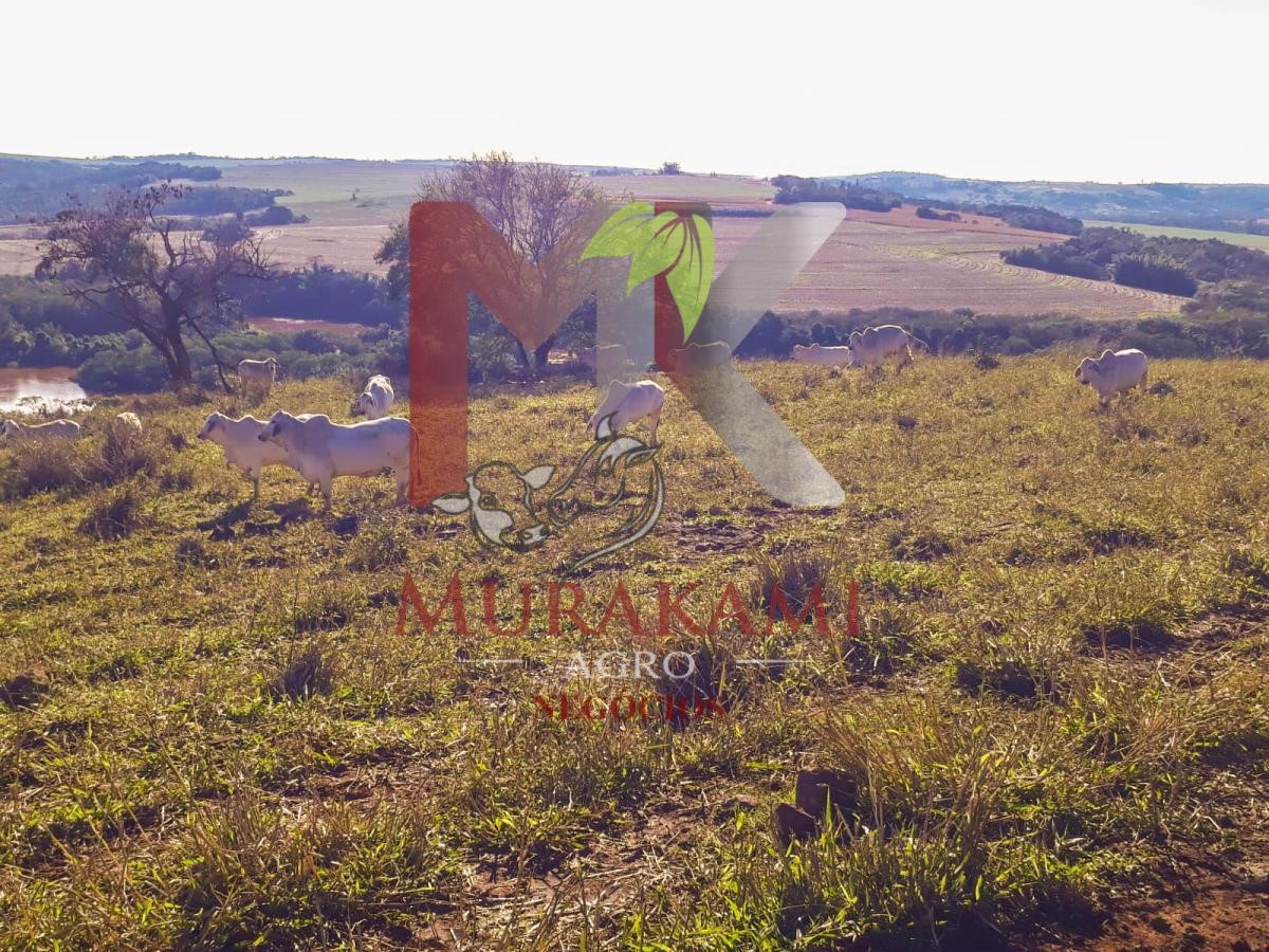 Fazenda à venda, 95m² - Foto 17