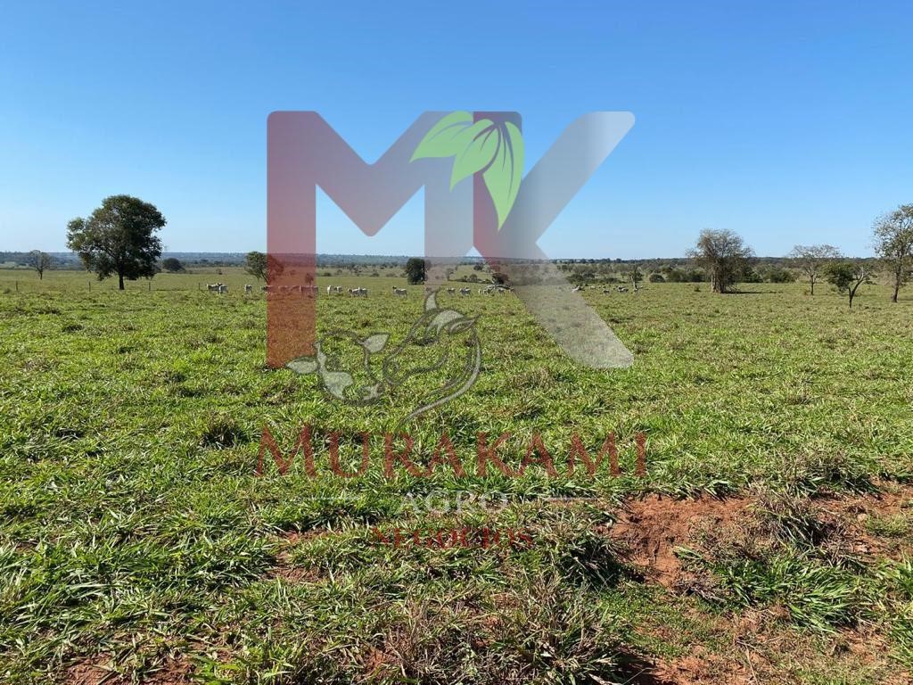 Fazenda à venda com 2 quartos, 3810m² - Foto 11
