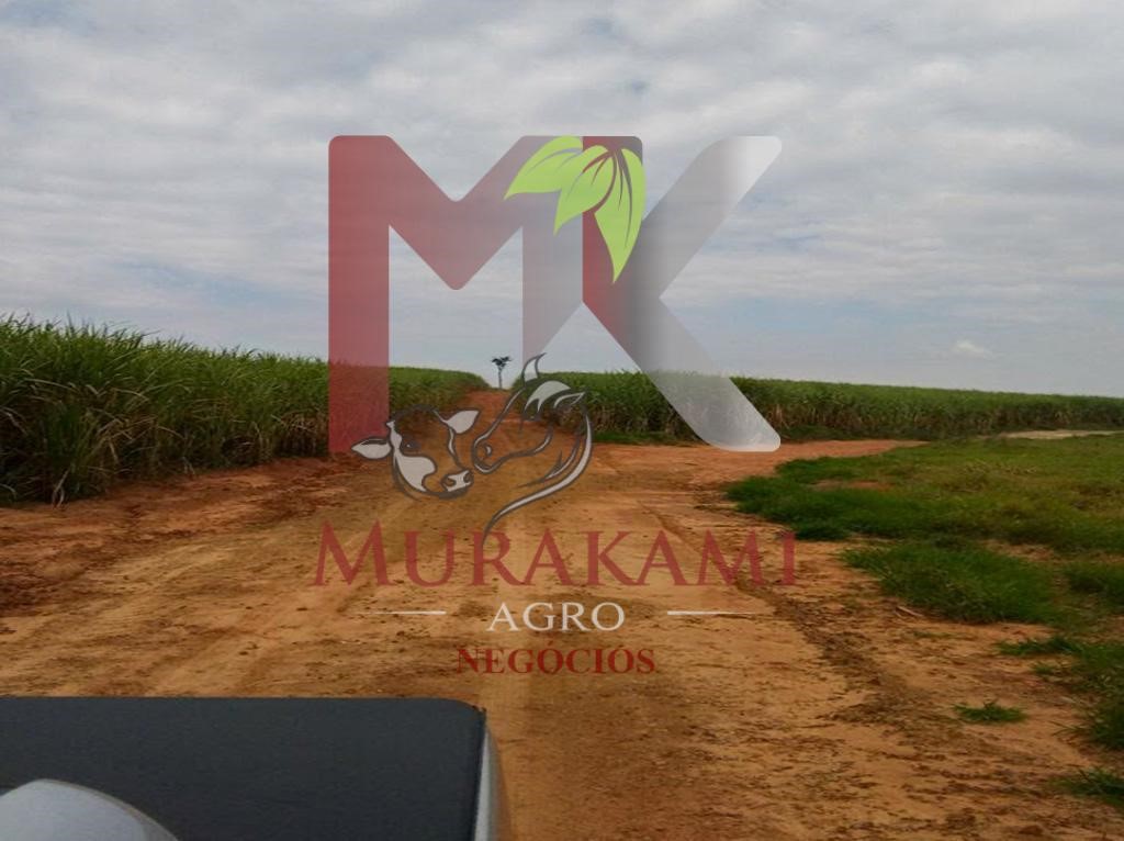 Fazenda à venda - Foto 1