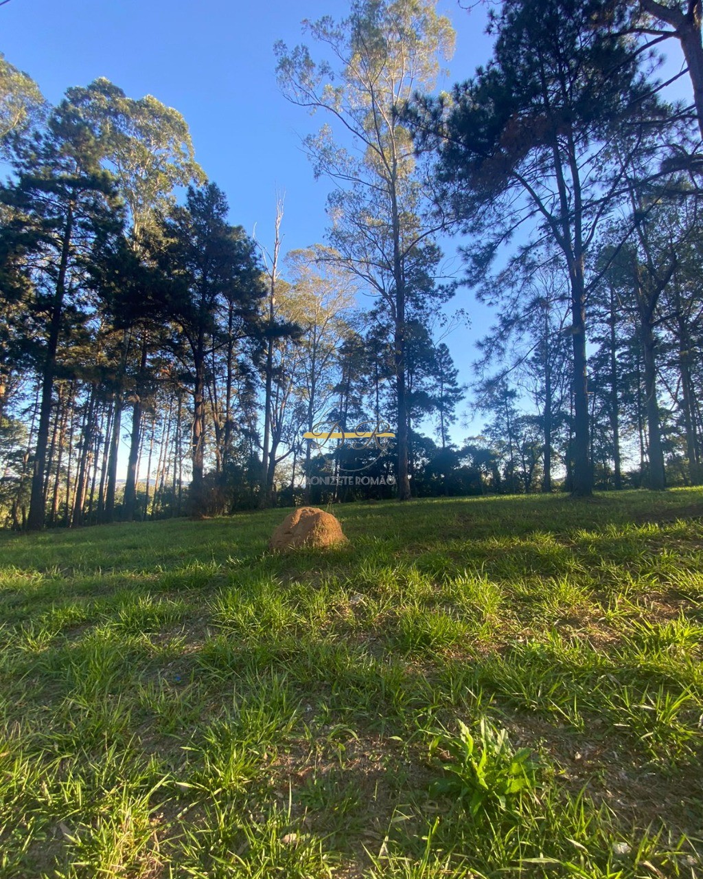 Terreno, 1084 m² - Foto 3