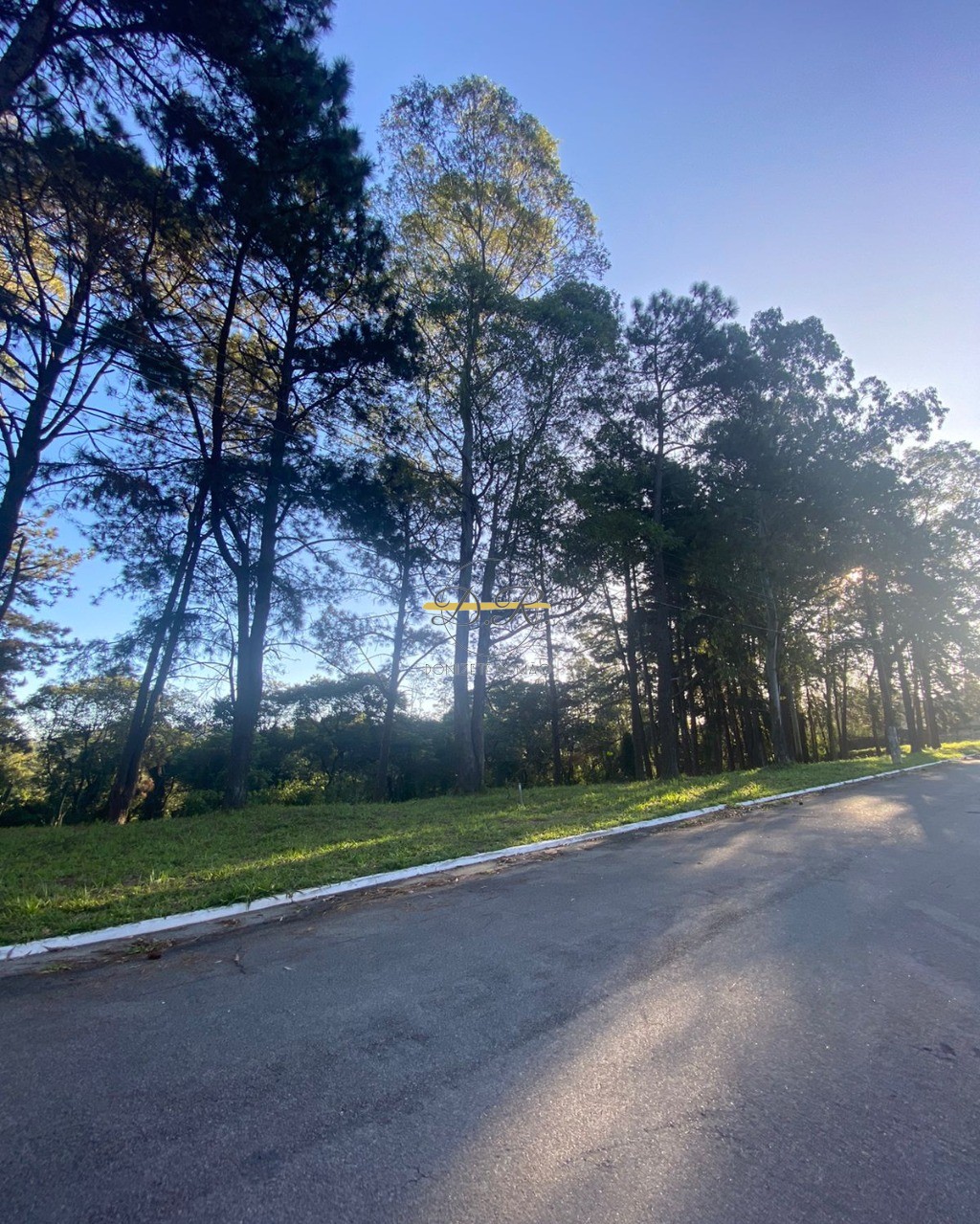 Terreno, 813 m² - Foto 6