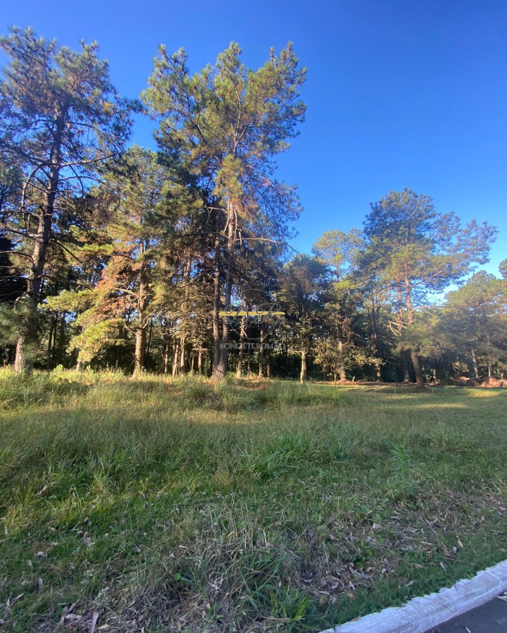 Terreno, 813 m² - Foto 3