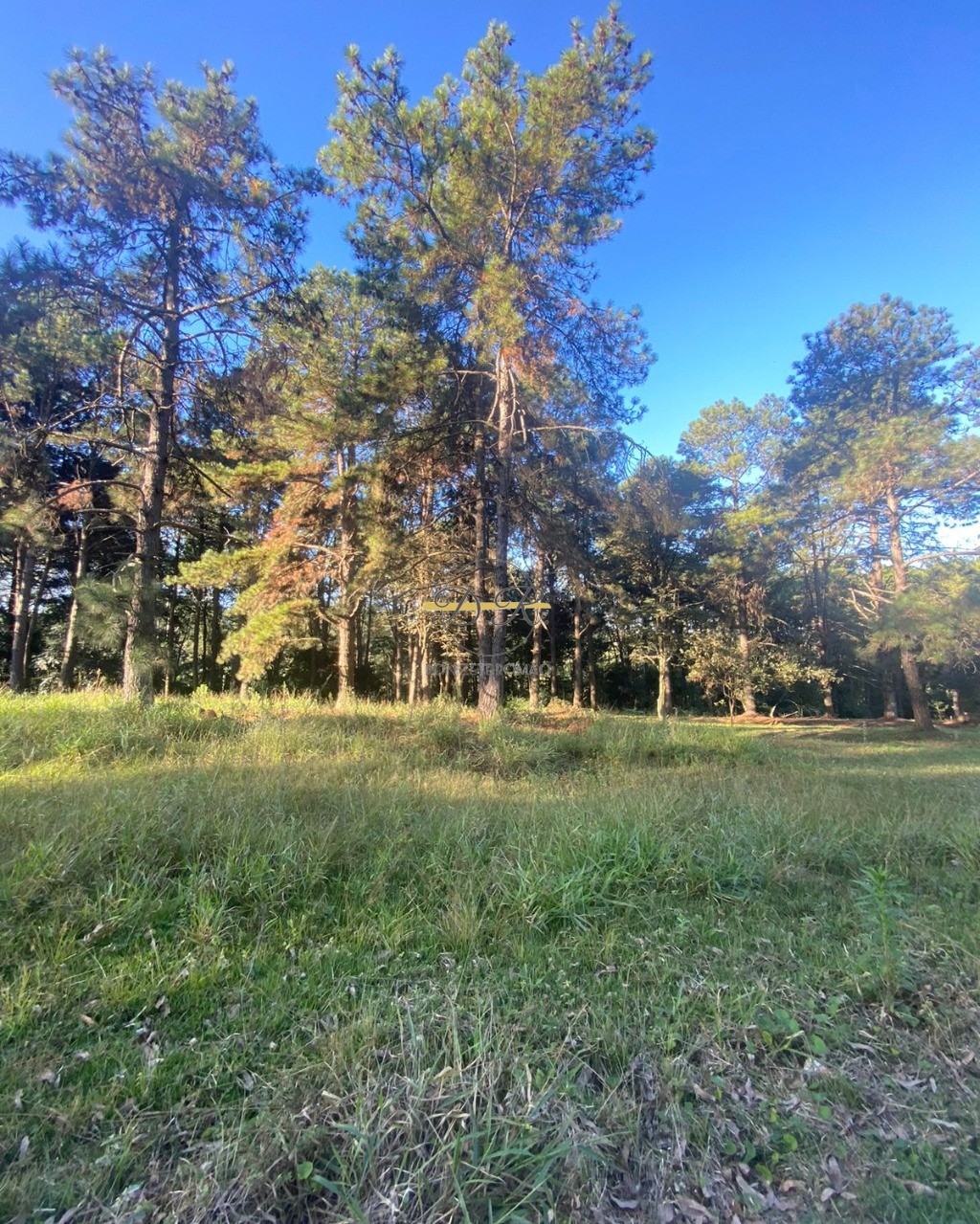 Terreno, 813 m² - Foto 2