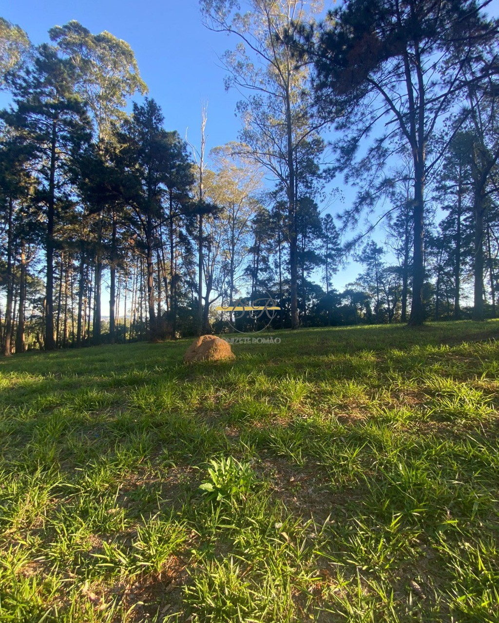 Terreno, 1084 m² - Foto 2