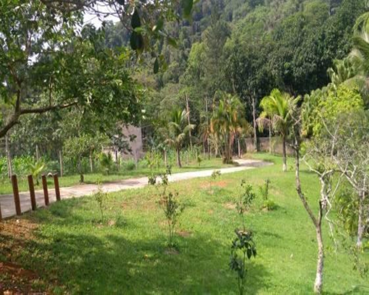 Chácara à venda em peruibe litoral de sp