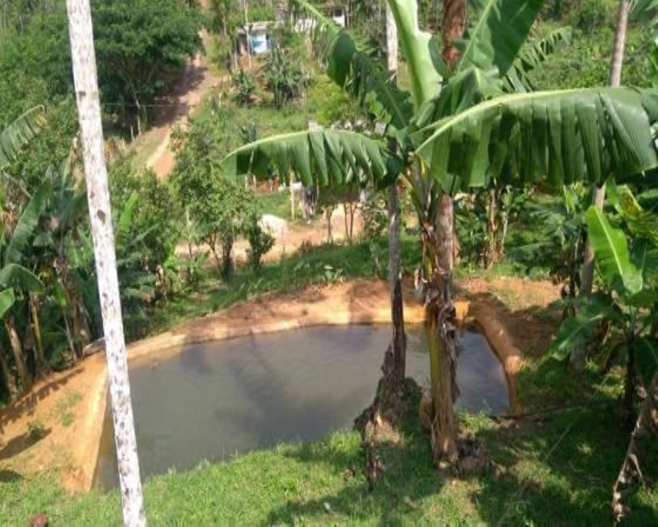 Chácara à venda em peruibe litoral de sp