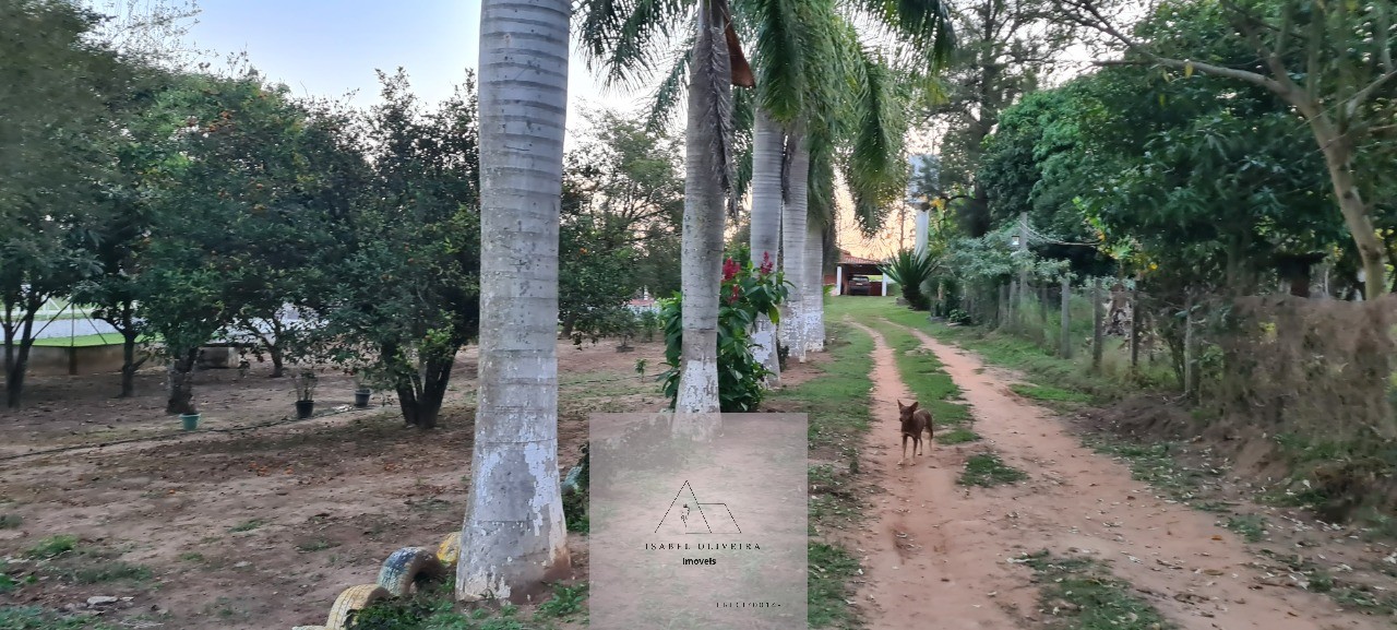 Chácara, 3 quartos - Foto 39