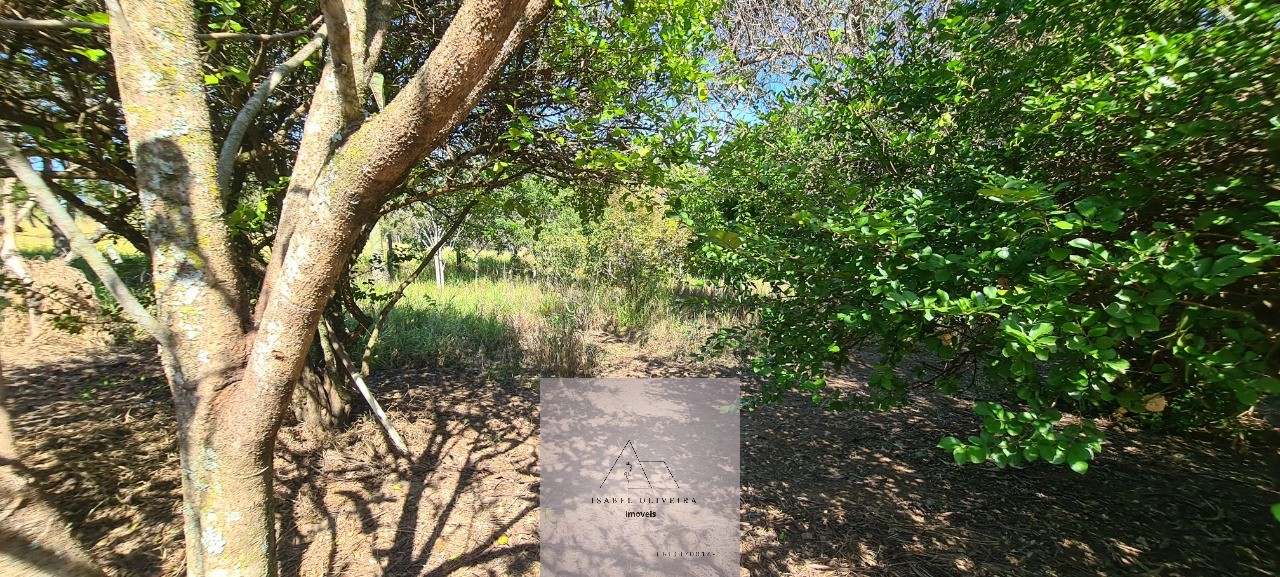 Chácara, 3 quartos - Foto 97