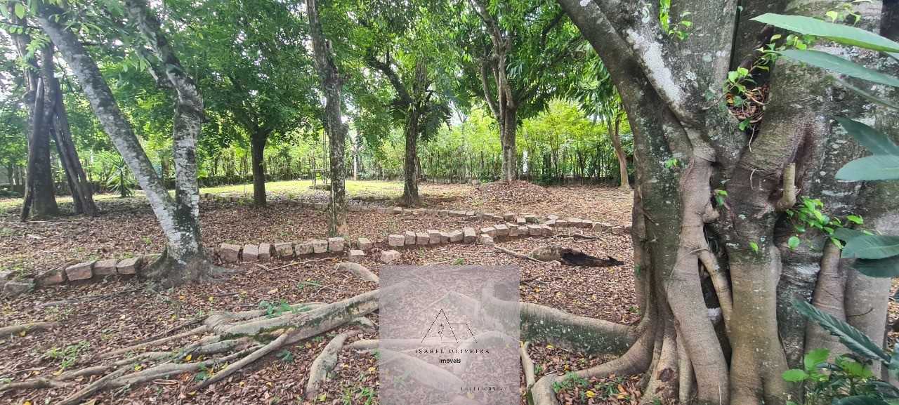 Chácara, 3 quartos - Foto 31
