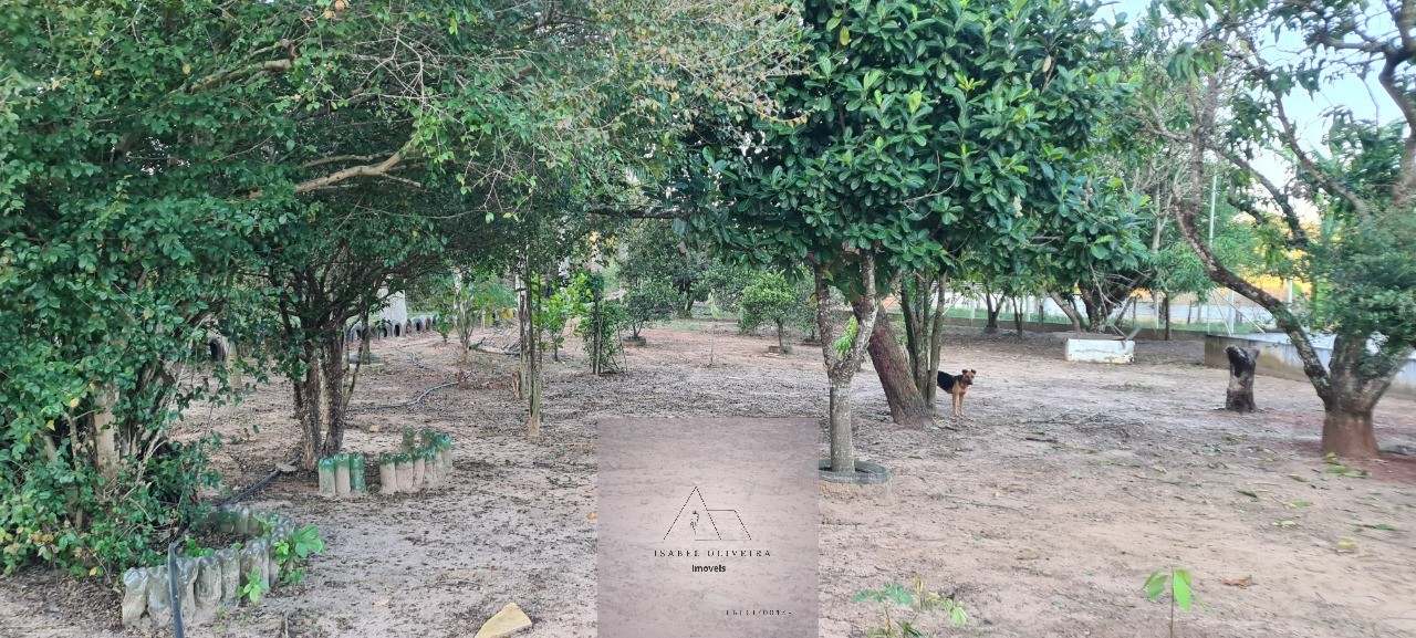 Chácara, 3 quartos - Foto 30